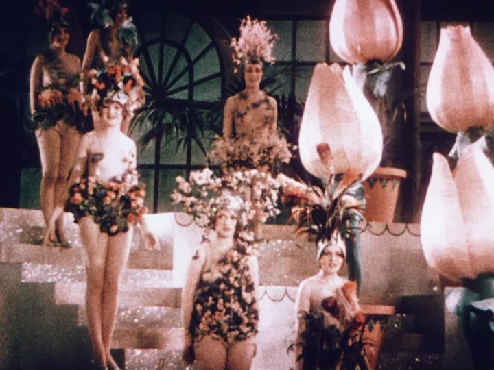 Gold Diggers of Broadway (1929)