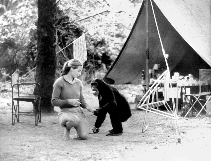 Jane Goodall Jane Goodall