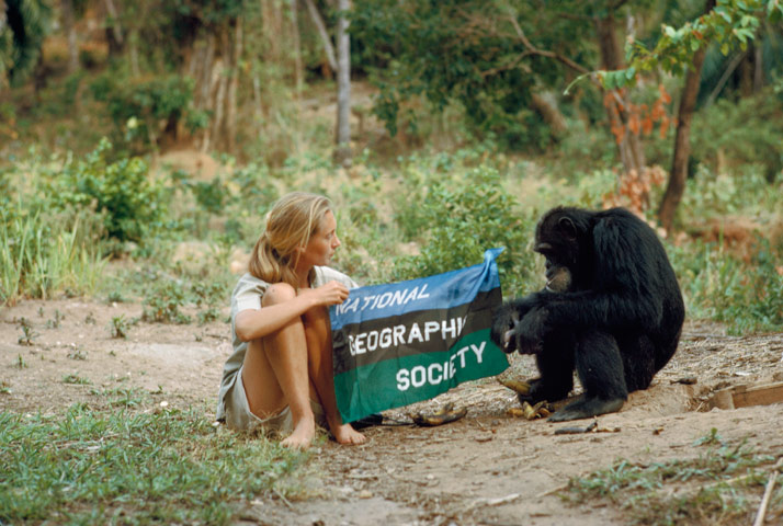 Jane Goodall Jane Goodall