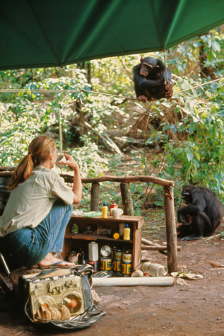 Jane Goodall Jane Goodall