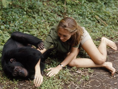 Jane Goodall Jane Goodall
