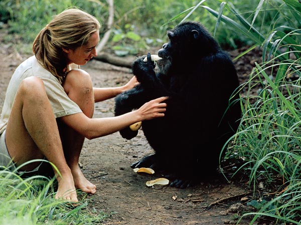 Jane Goodall Jane Goodall
