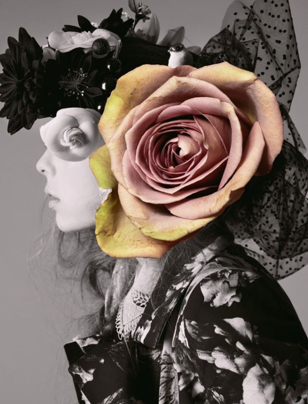 Edie Campbell