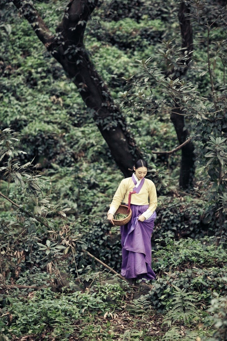 Gu Family Book