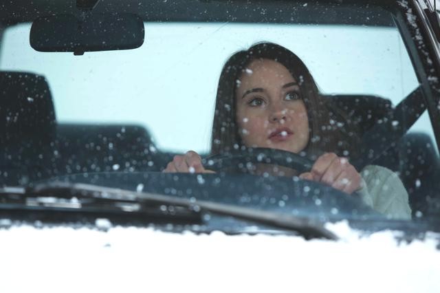 White Bird in a Blizzard