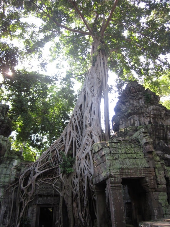 Angkor Wat