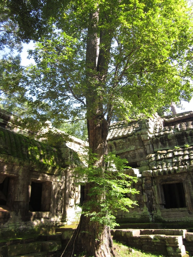 Angkor Wat