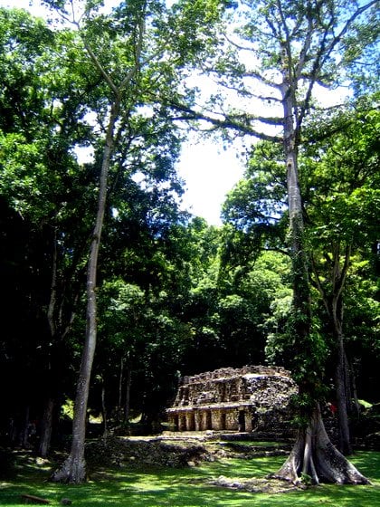 Yaxchilan