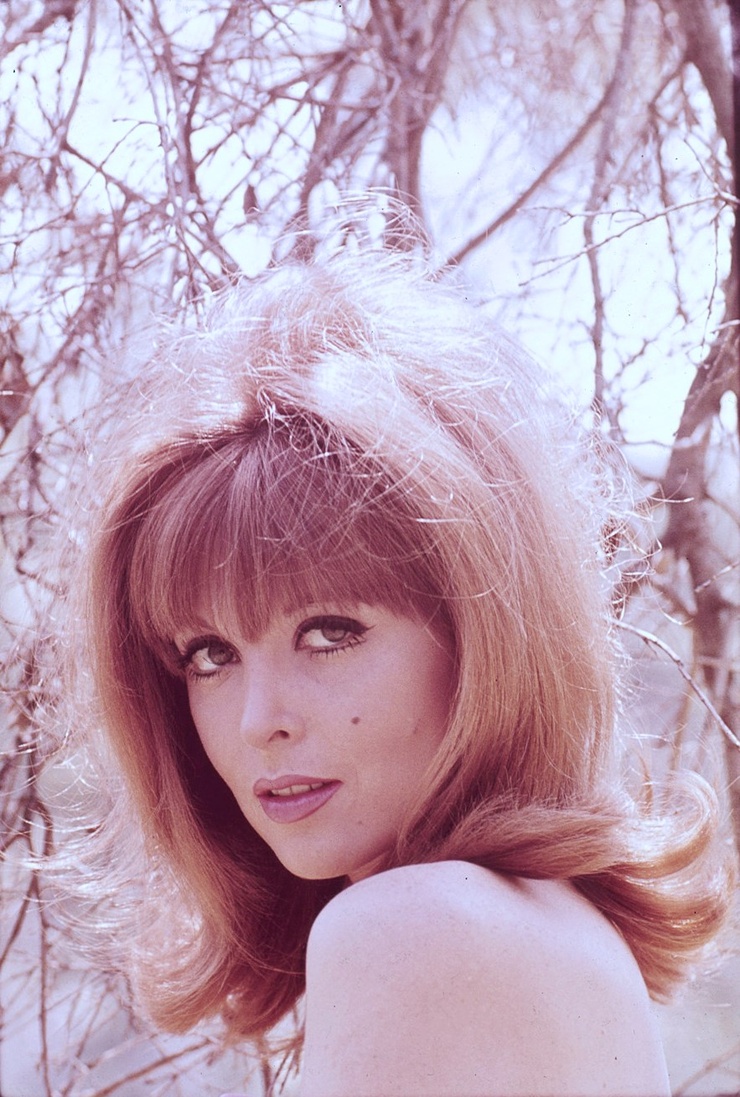Tina Louise