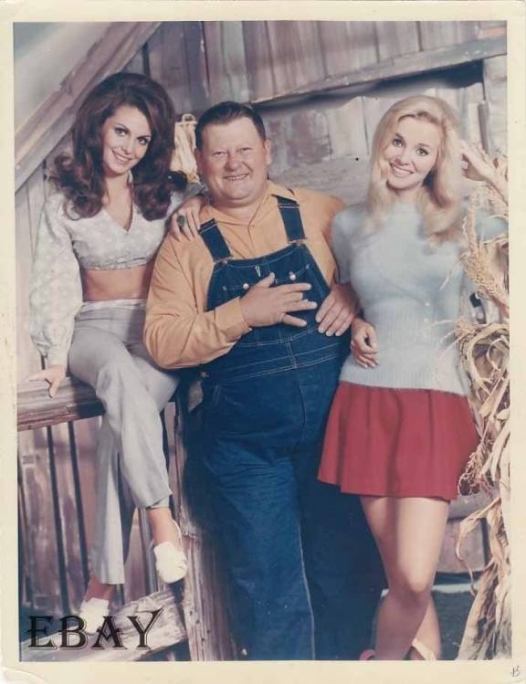 Hee Haw Hee Haw