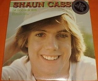 Shaun Cassidy