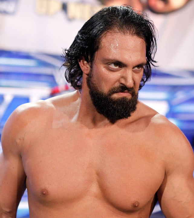 Damien Sandow