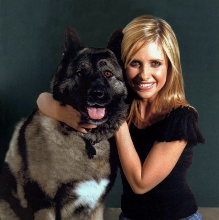 Sarah Michelle Gellar Sarah Michelle Gellar