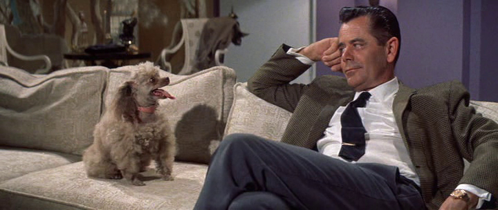 The Courtship of Eddie's Father