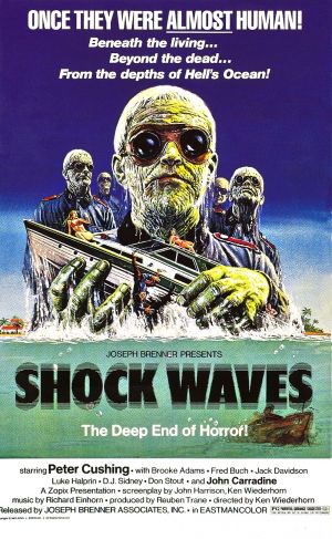 Shock Waves