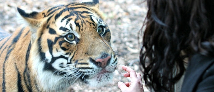 Fort Wayne Children's Zoo