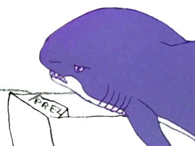 Shark Shark