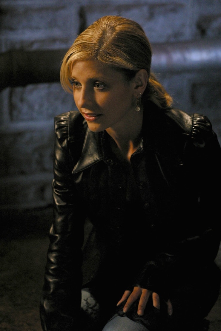 Buffy the Vampire Slayer Buffy the Vampire Slayer