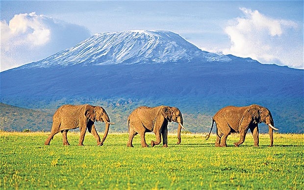 Kenya Kenya