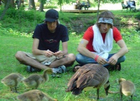 All Time Low