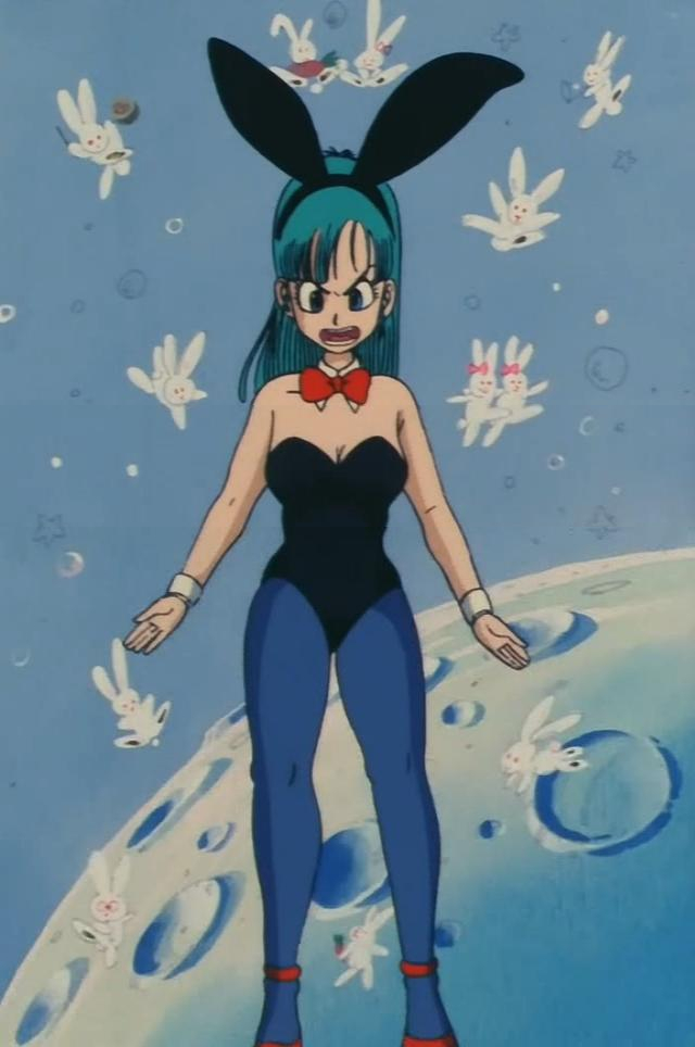 Bulma Brief Bulma Brief