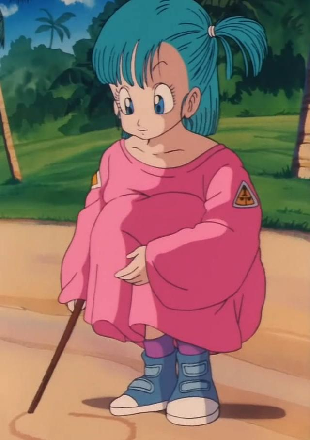 Bulma Picture 