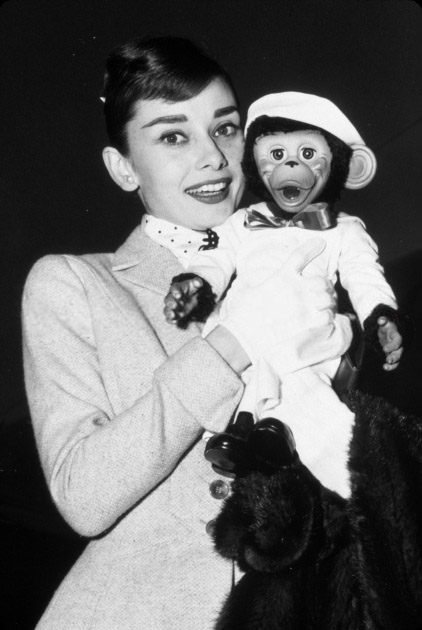 Audrey Hepburn Audrey Hepburn