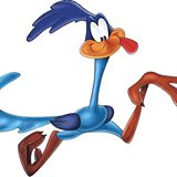 The Road Runner The Road Runner