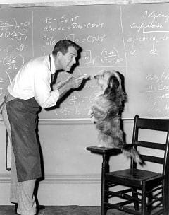 The Absent-Minded Professor The Absent-Minded Professor