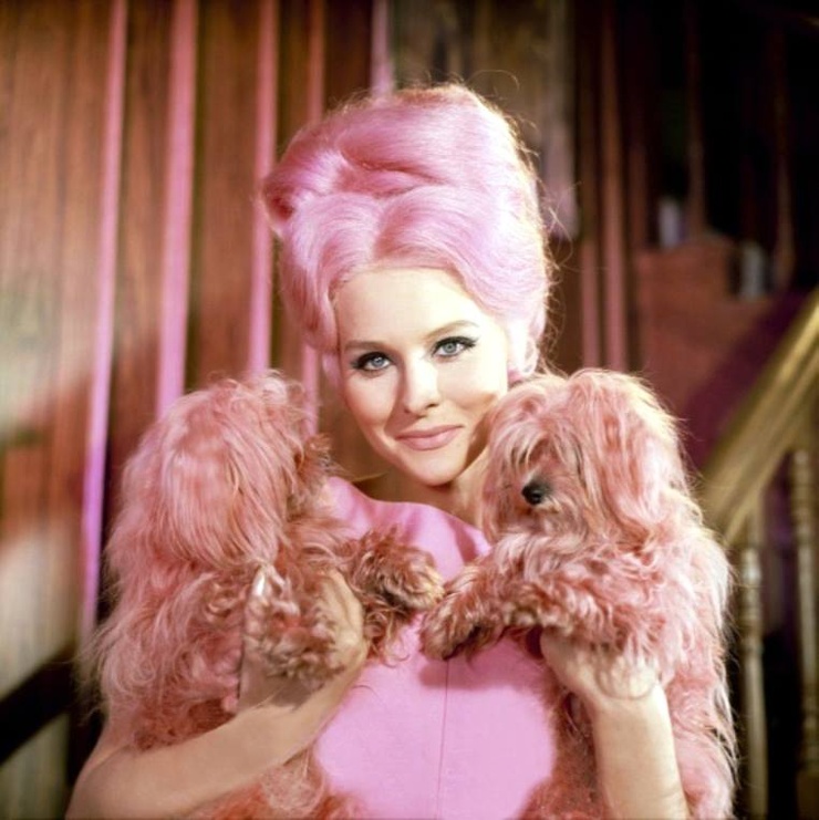 Diane McBain Diane McBain