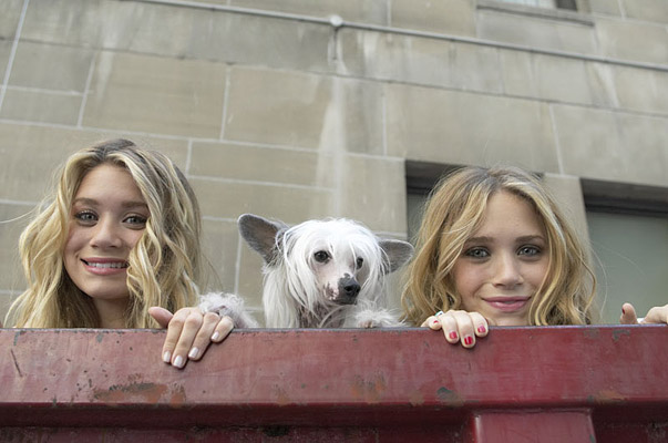 New York Minute