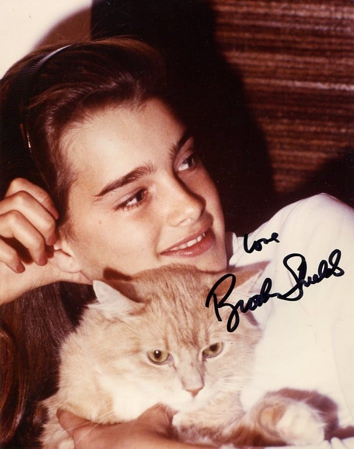 Picture of Brooke Shields