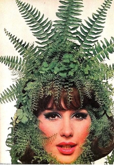 Brigitte Bauer Brigitte Bauer