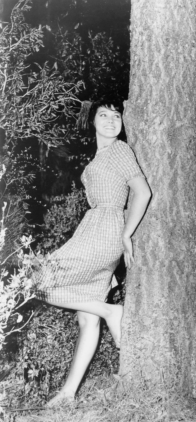 Picture Of Yvonne Craig