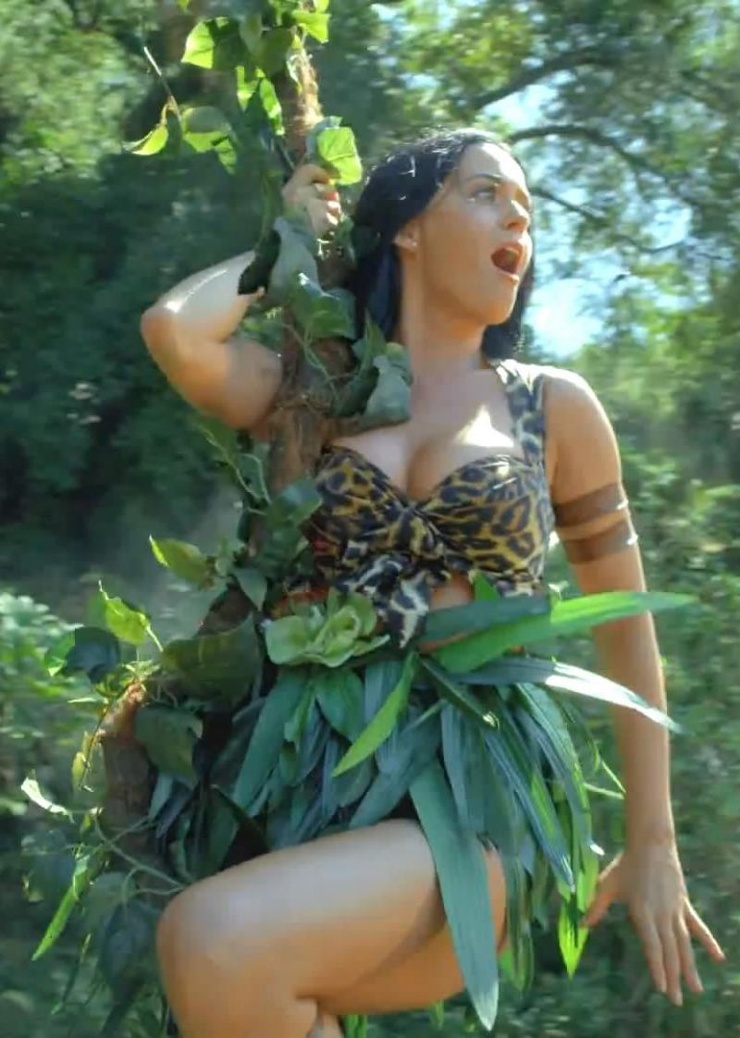 Katy Perry Katy Perry