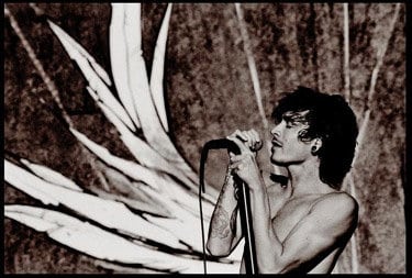 Brandon Boyd