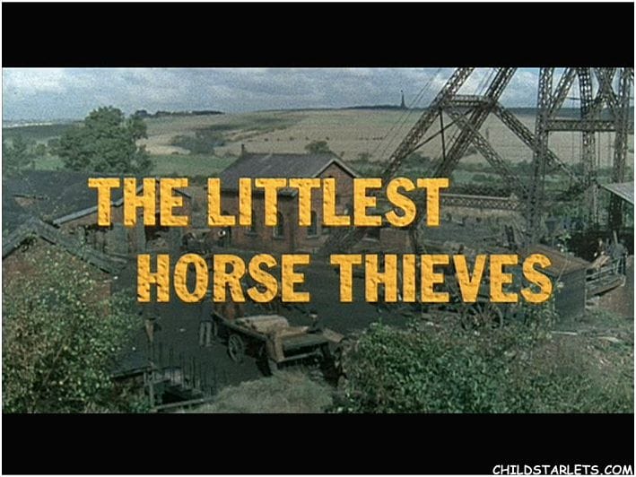 The Littlest Horse Thieves