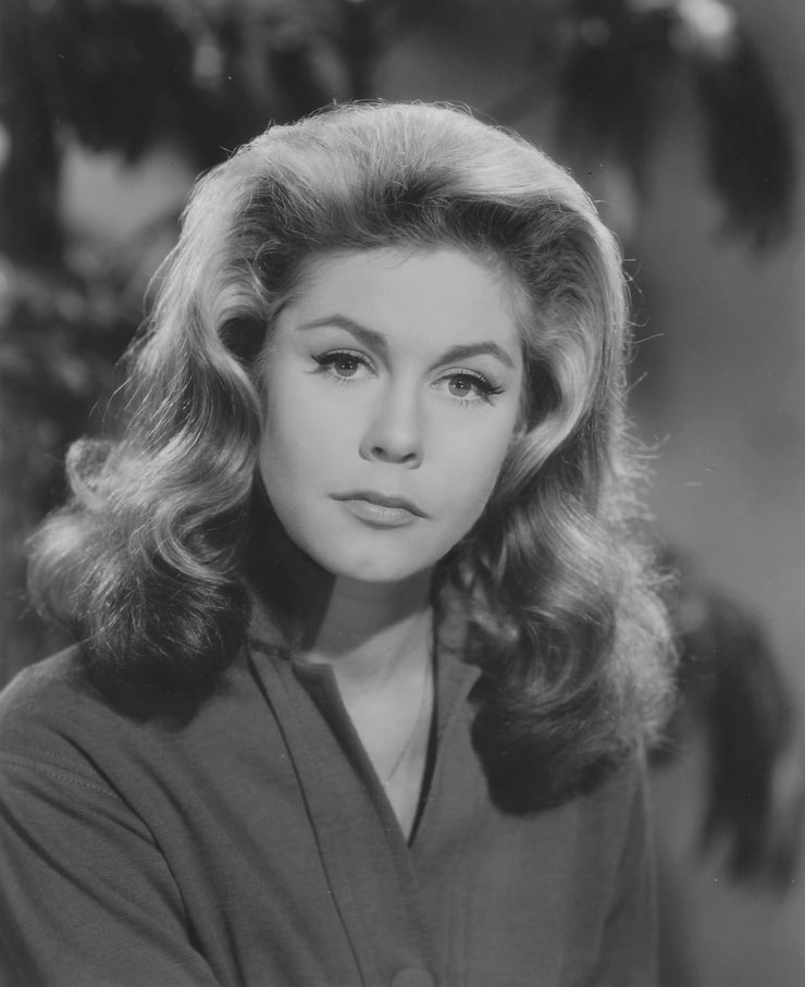 Picture of Elizabeth Montgomery