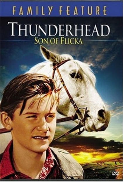 Thunderhead: Son of Flicka