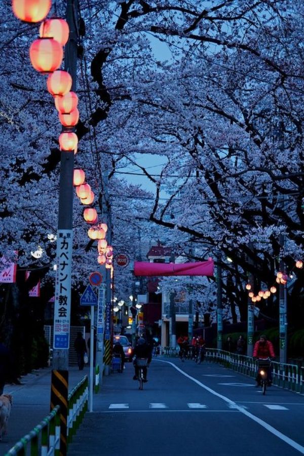 Tokyo