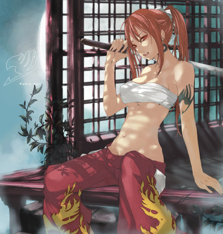 Erza Scarlet Erza Scarlet