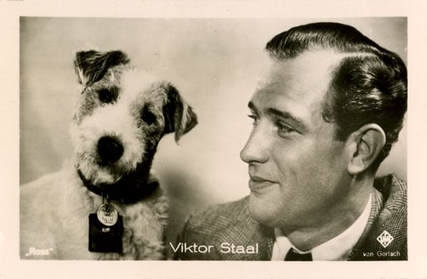 Viktor Staal