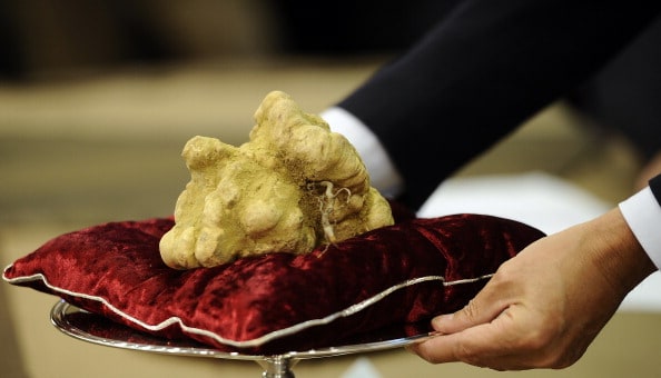 White truffle