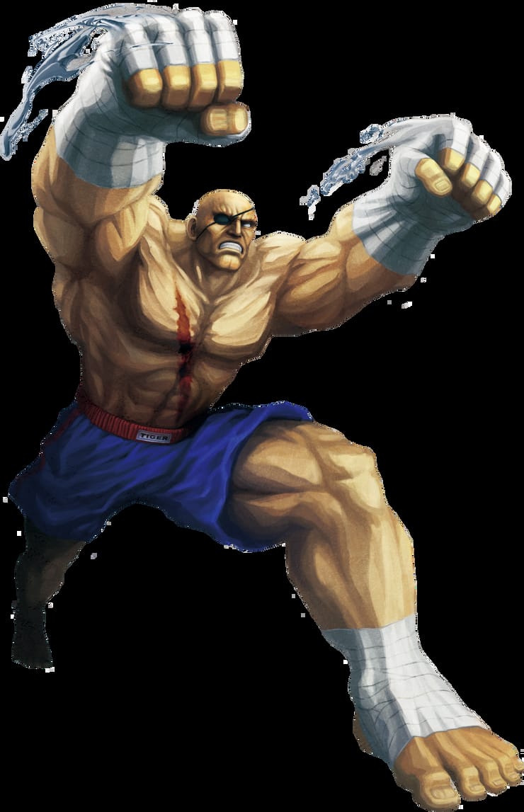 Sagat 