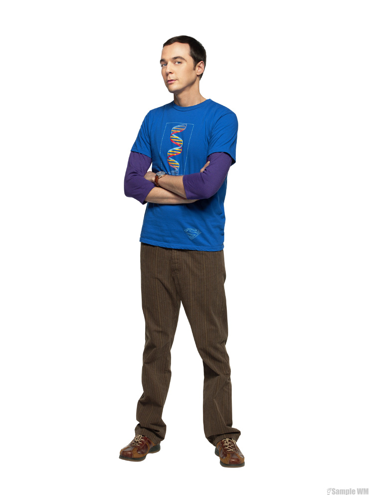 The Big Bang Theory