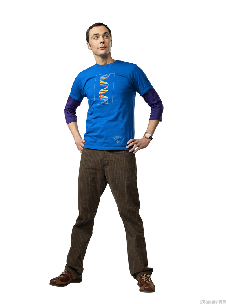 The Big Bang Theory