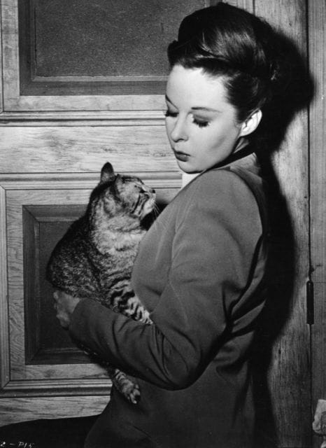 Picture of Susan Hayward