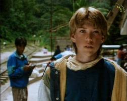 Max Is Missing (1995)