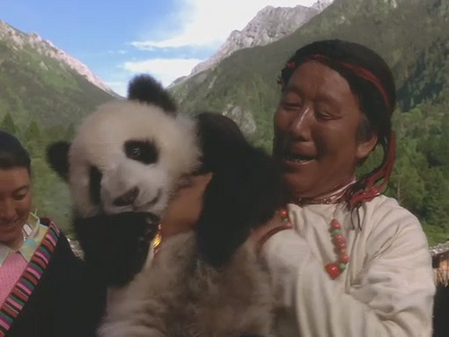 The Amazing Panda Adventure