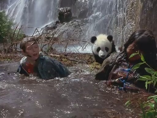The Amazing Panda Adventure